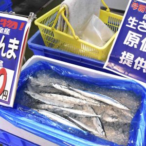 Pacific Saury Depletion 002