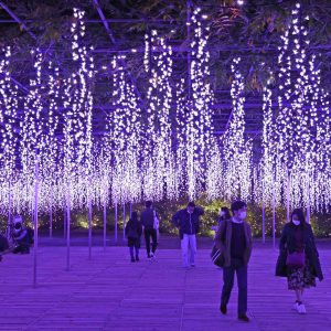 Ashikaga Flower Park