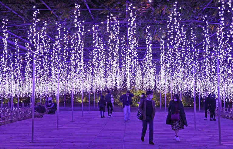 Ashikaga Flower Park