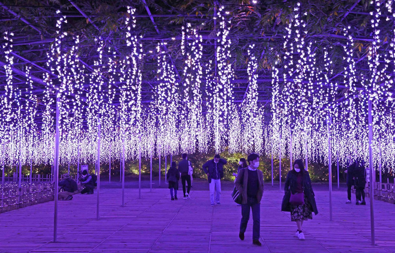 Hidden Wonders of Japan] Find the Colors of Kimetsu no Yaiba in a Garden of  Illuminated Flowers | JAPAN Forward