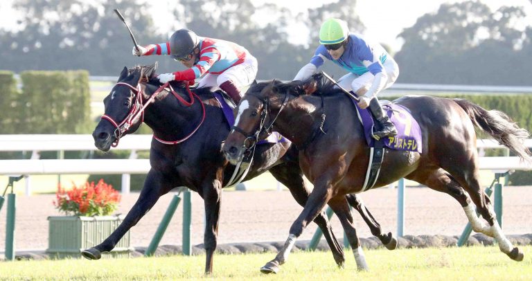 Horse Racing Kikkasho Triple Crown Winner Contrail 011