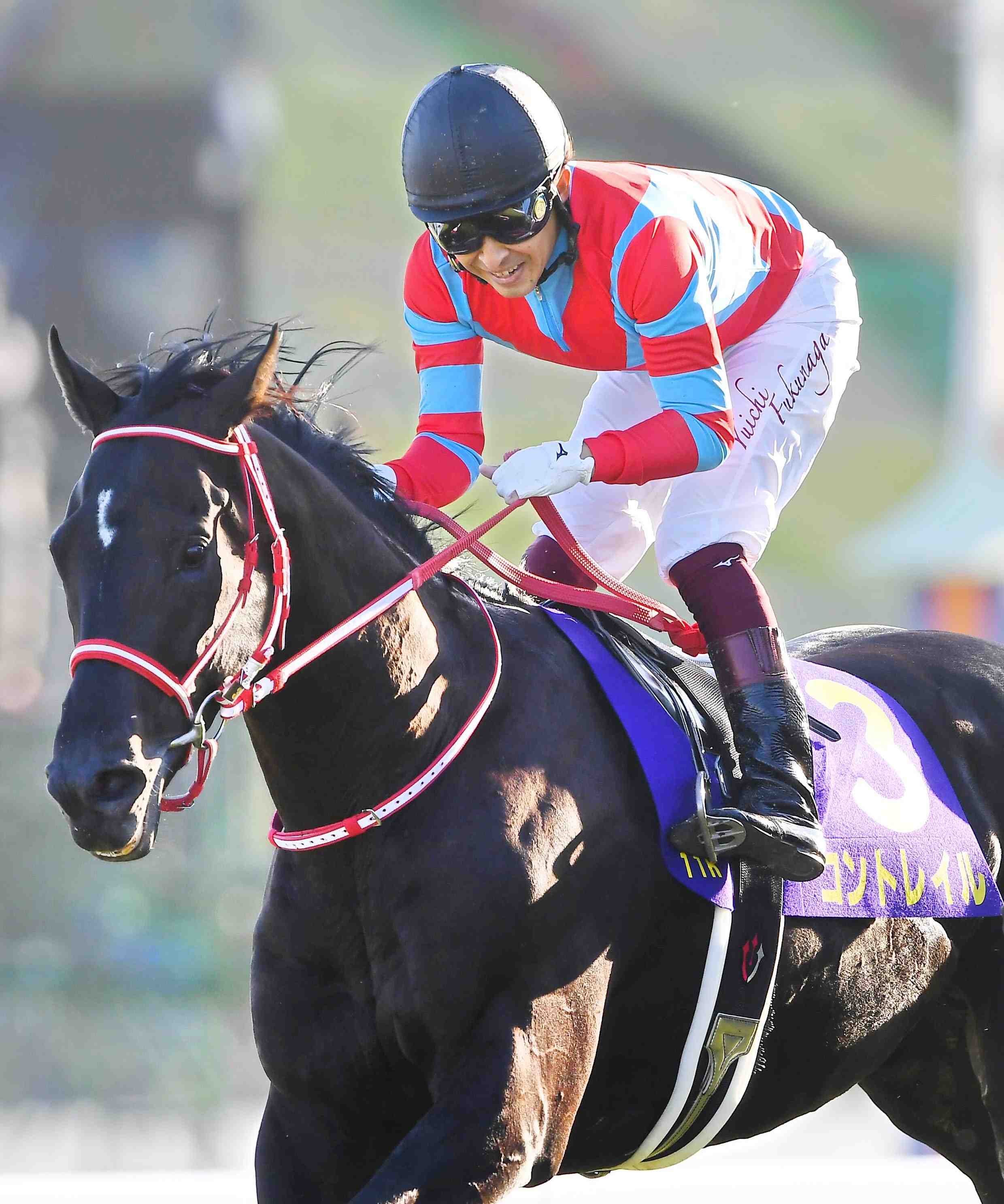 Horse Racing Kikkasho Triple Crown Winner Contrail 013