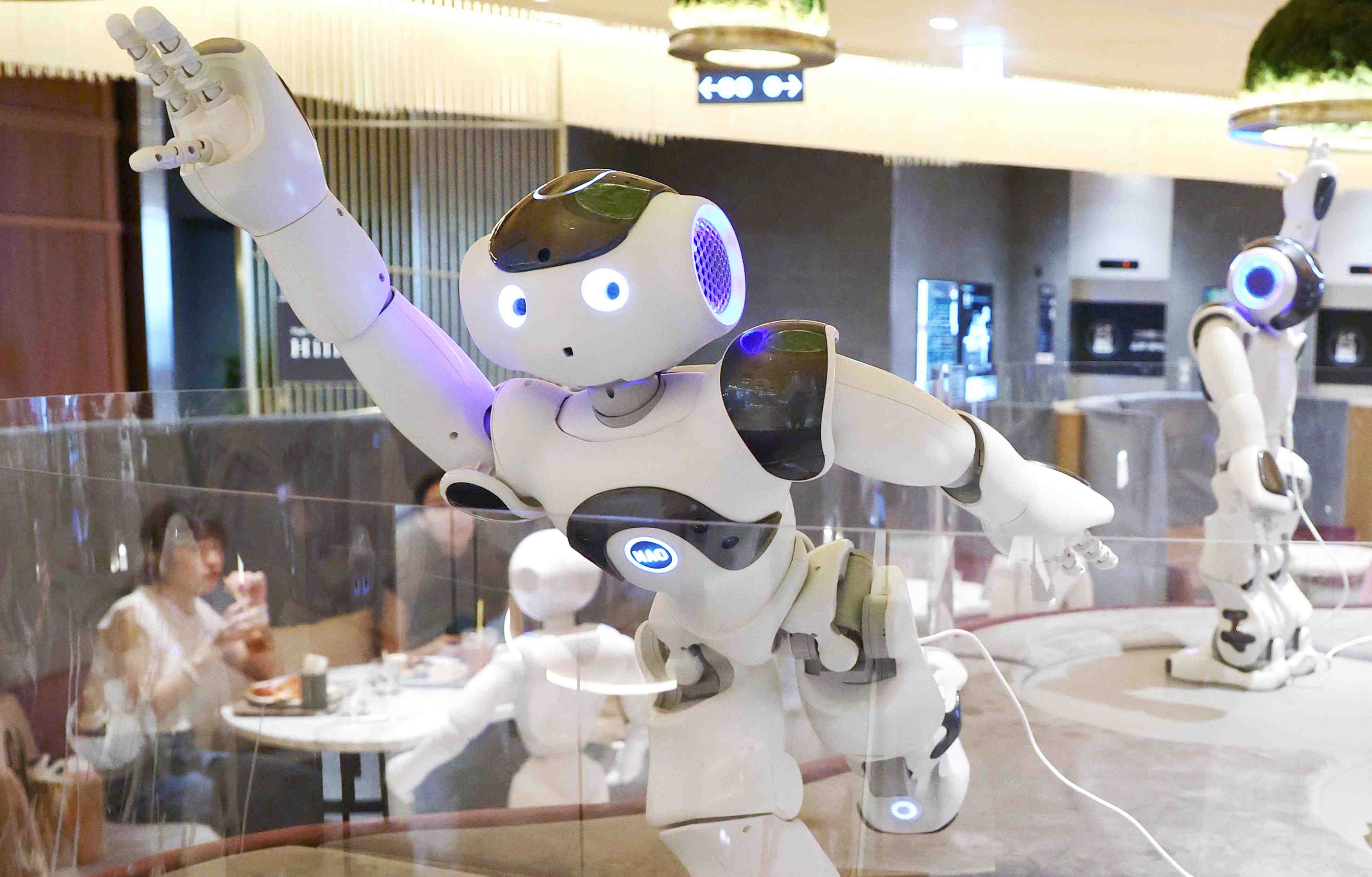 Robot In Japan 017 JAPAN Forward
