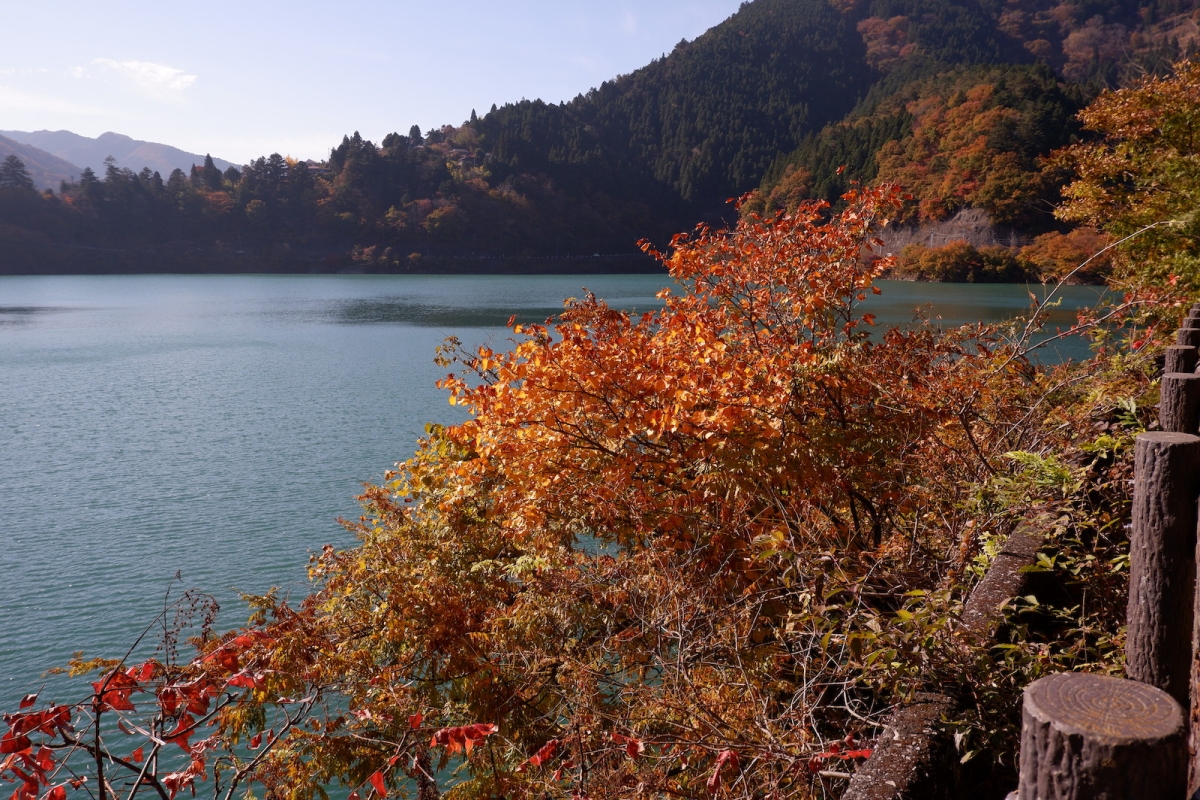 14 lake and colors-okutama-lake–ehk-dscf4558