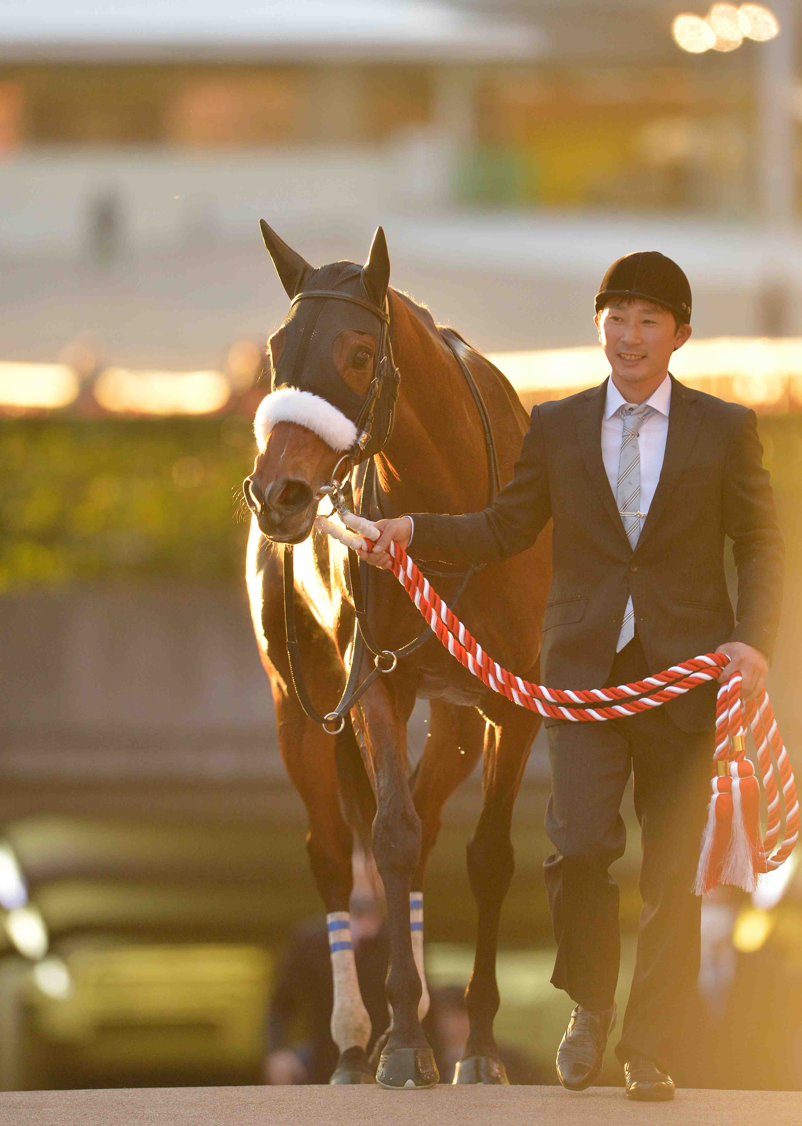 Horse Racing 40th Japan Cup Winner Almond Eye