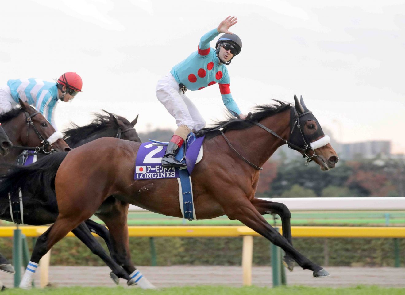 HORSE RACING Almond Eye Rides Off Into Sunset as Legendary Champion JAPAN Forward