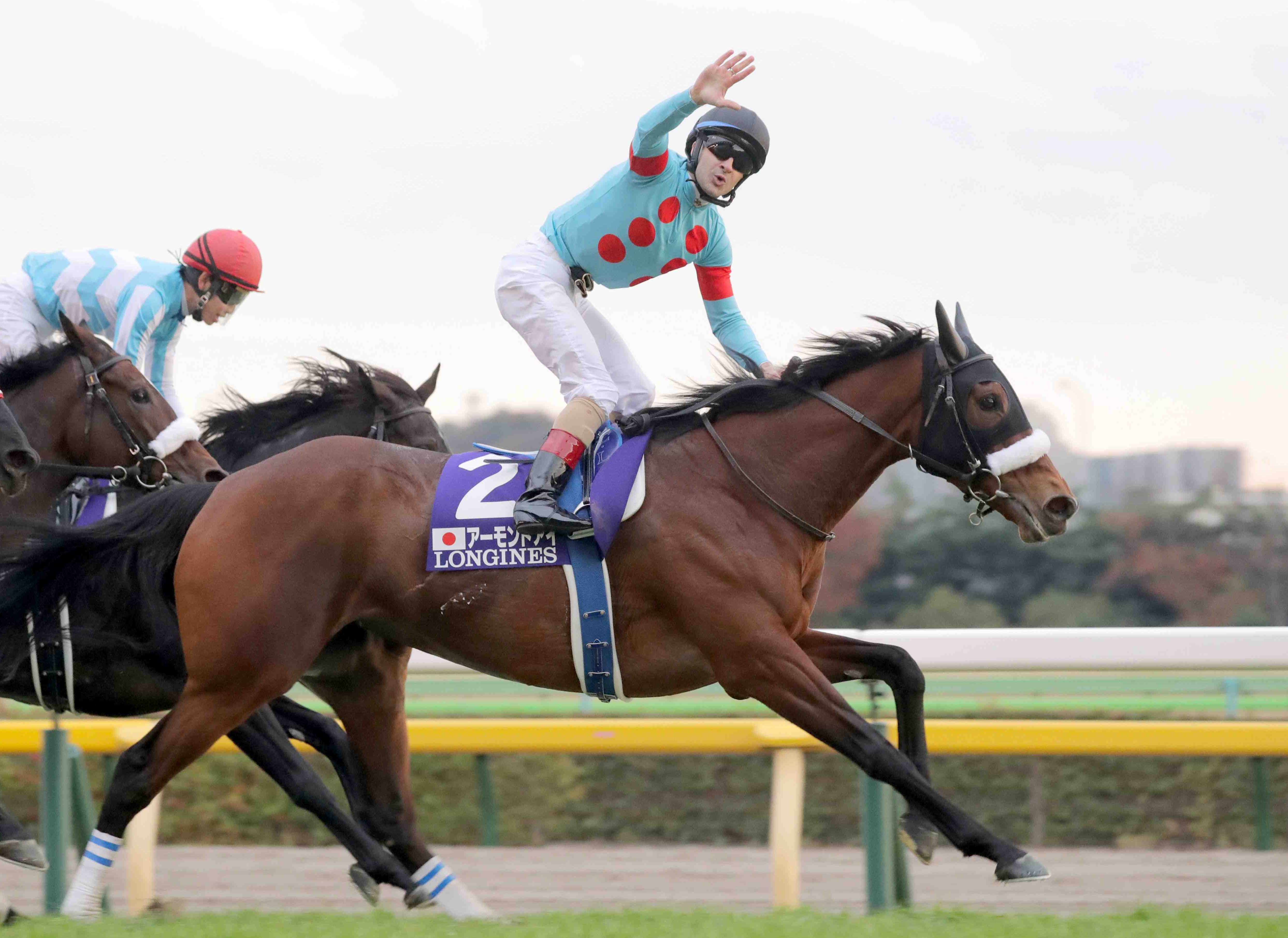 19++ Horse racing japan betting best advice