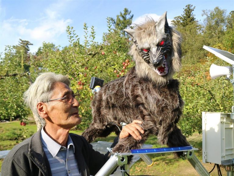 Yamagata Monster Wolf Robot