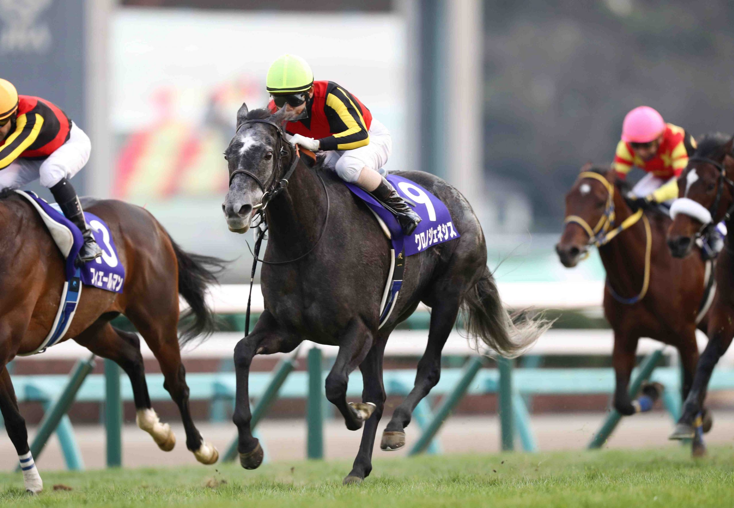 japan-horse-racing-arima-kinen-japan-forward