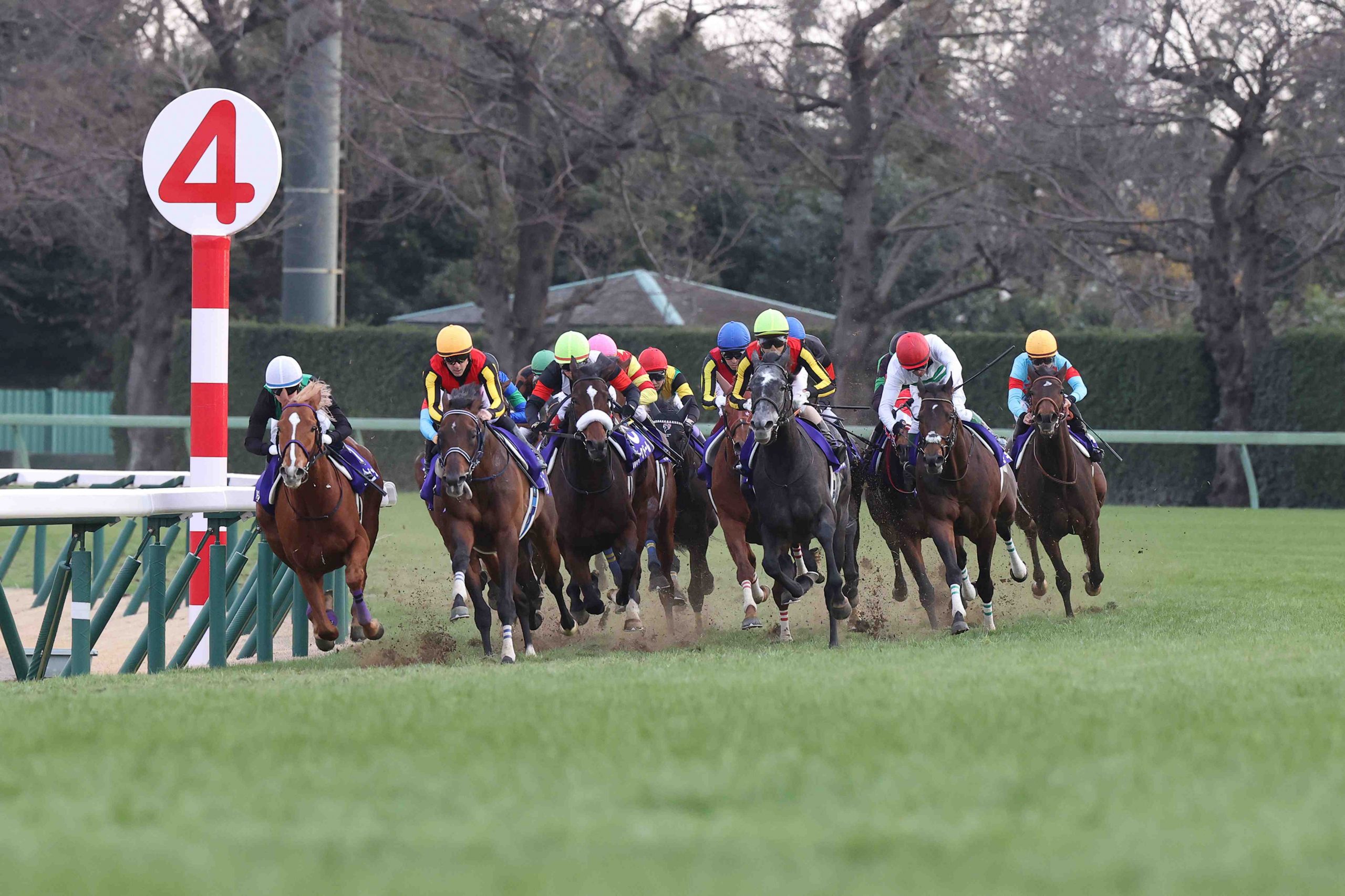 Japan Horse Racing Arima Kinen JAPAN Forward