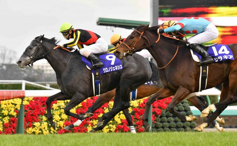 Japan Horse Racing Arima Kinen 012