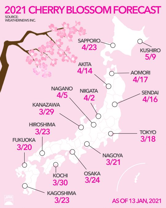 Sakura Forecast 2021: Cherry Blossoms Come to Japan Earlier Than Usual ...