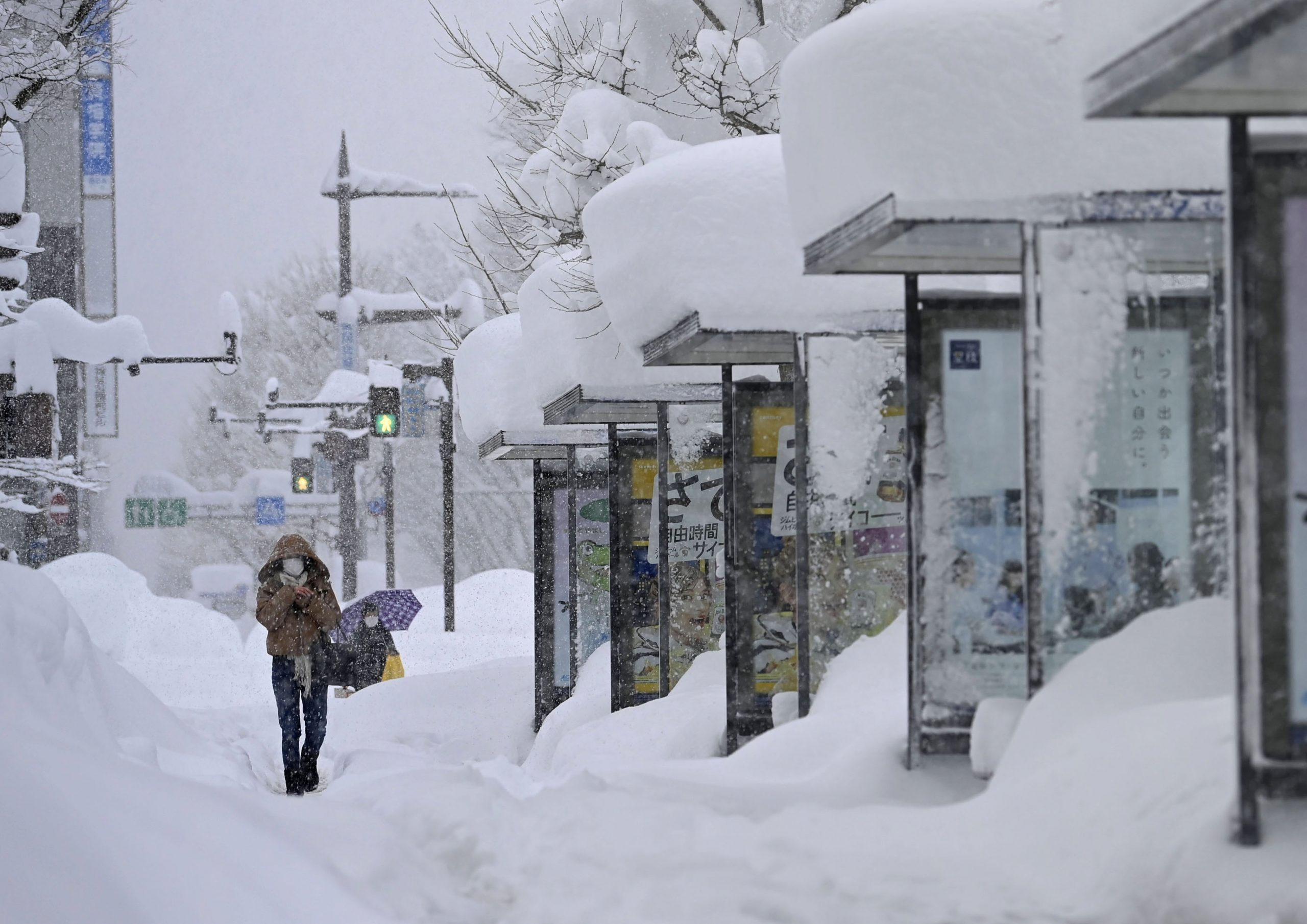 Photos: Heaviest snowstorm in years cuts power, delays travel in Tokyo