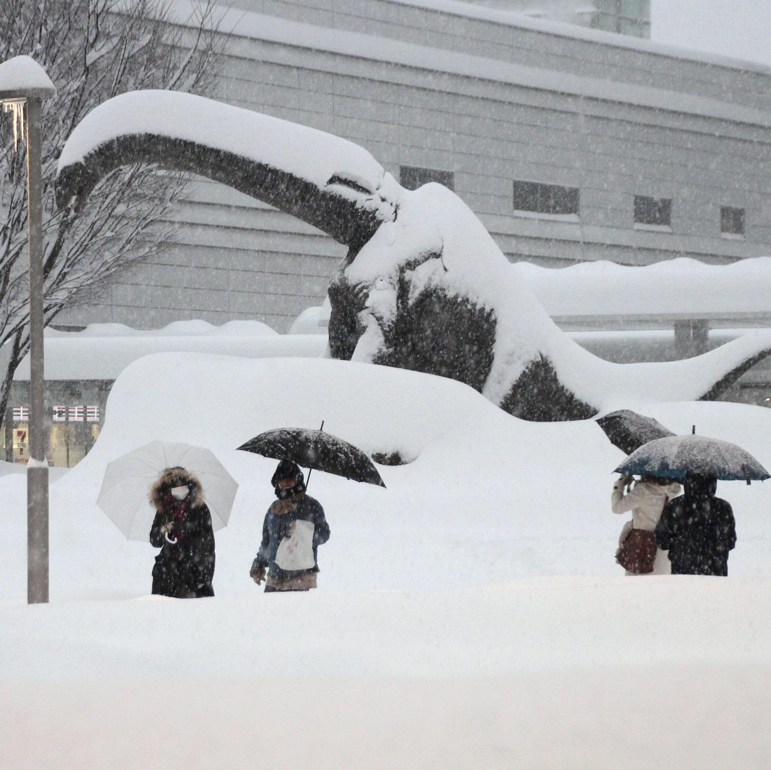 Record Snowfall Hits Hard in Northern Japan JAPAN Forward