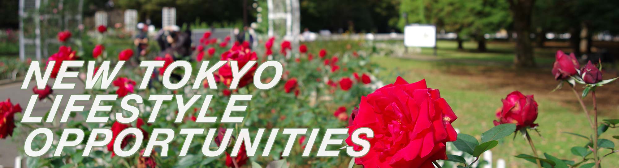 Tokyo During COVID-19: Green Space, Rise of Telework Bring New Lifestyle Opportunities