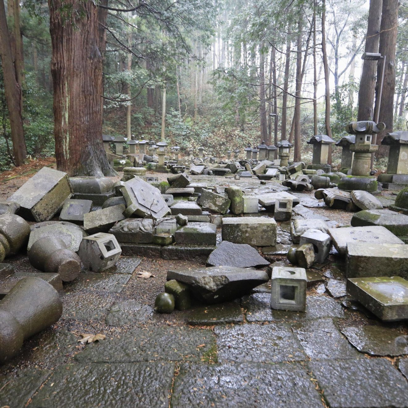 Fukushima earthquake aftershocks