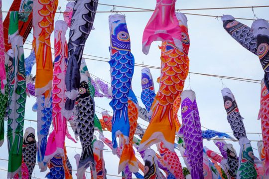 [Hidden Wonders of Japan] Streamers of Koi Color the Skies of Tokyo for ...