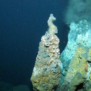 Rare Earths Submarine hydrothermal deposit near Okinawa