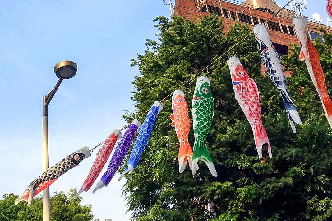 What’s Up with These Japanese Fish Flags? Koinobori and Children’s Day