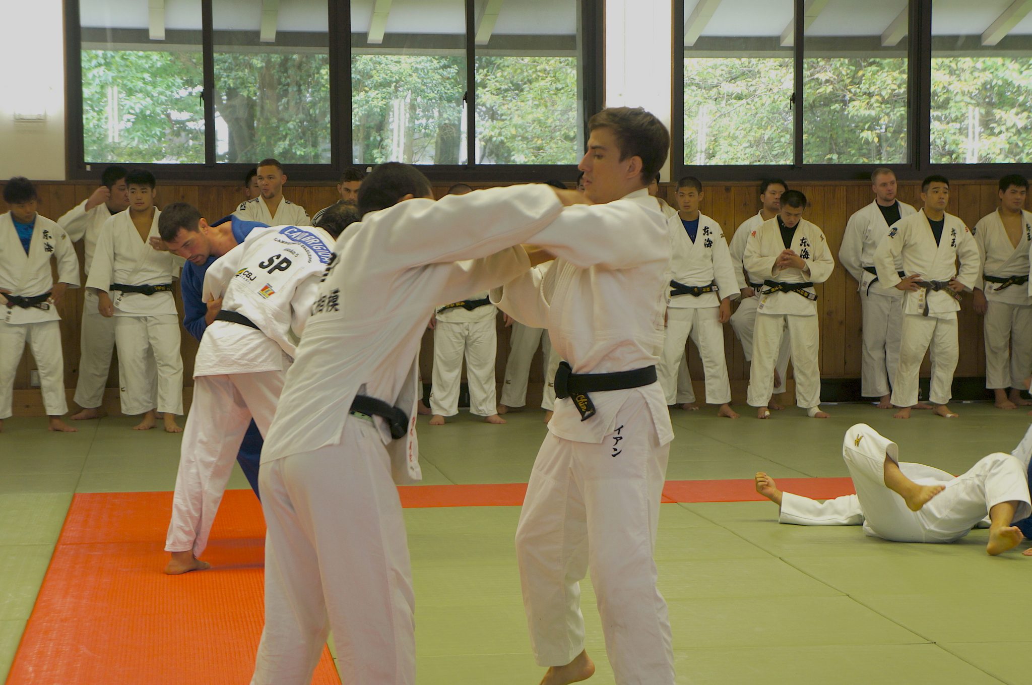 Why Is the Japanese NPO JUDOs Training Potential Rivals for the