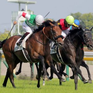 Tokyo Yushun Japanese Derby