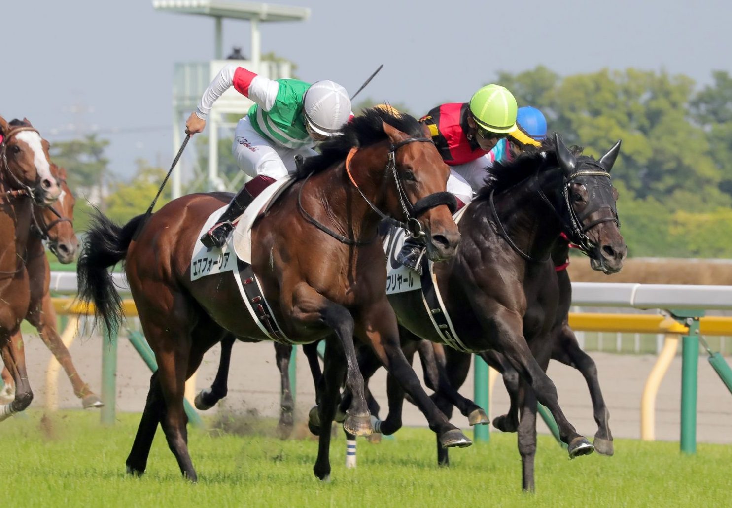 HORSE RACING Shahryar Edges Efforia in Fantastic Finish in 88th Tokyo