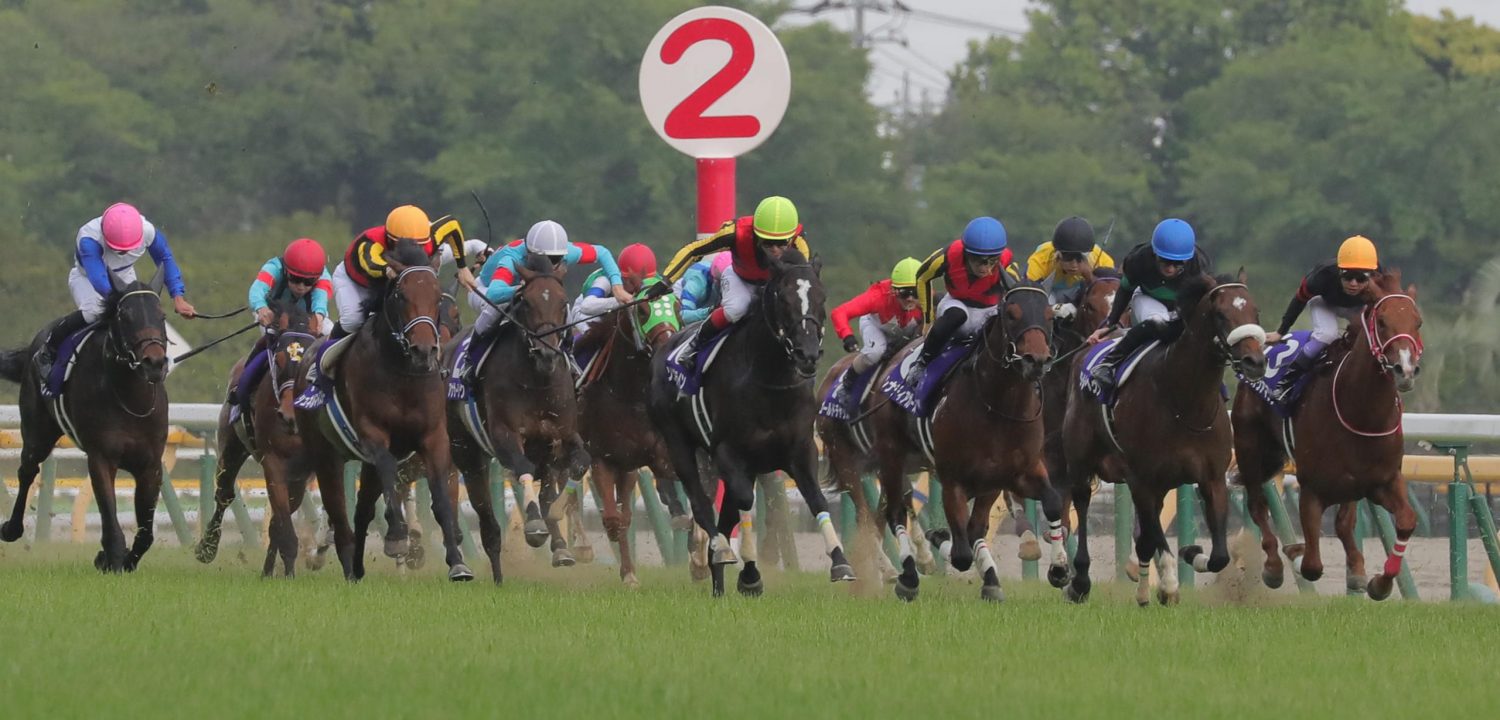 NHK Mile Cup JAPAN Forward