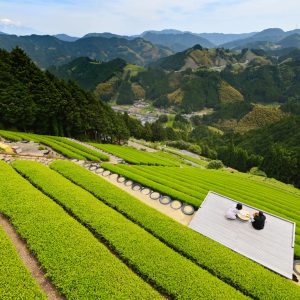 絶景の茶畑で一服の清涼　静岡「天空の茶の間」