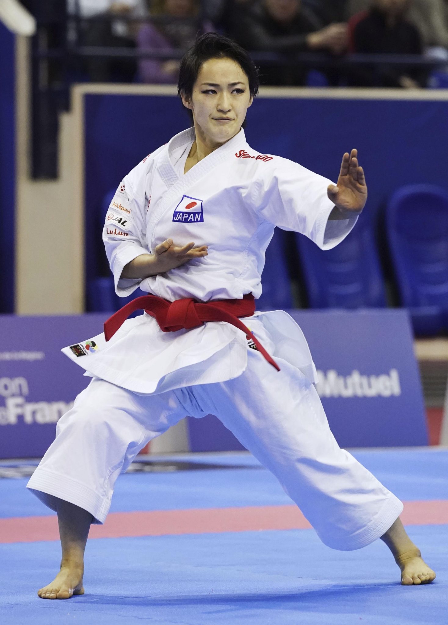 The JAPAN Forward Guide to Karate in the 2020 Olympics | JAPAN Forward