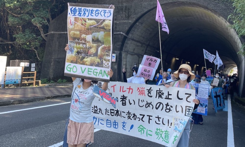 Vegan Protestor at March in Taiji, Wakayama