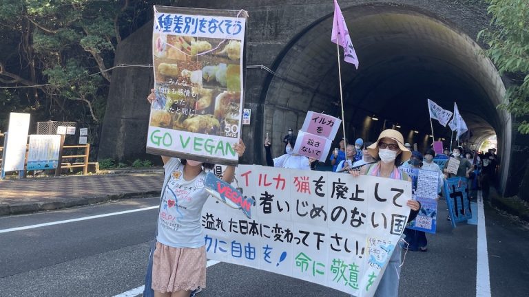 Vegan Protestor at March in Taiji, Wakayama