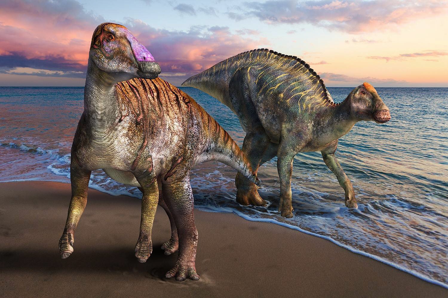 Newly Discovered Species Shows What It Was Like During Japan's Dinosaur Era  | JAPAN Forward