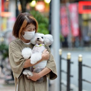 Shelter Dog Cafe Osaka Corona ni Makeruna (1)