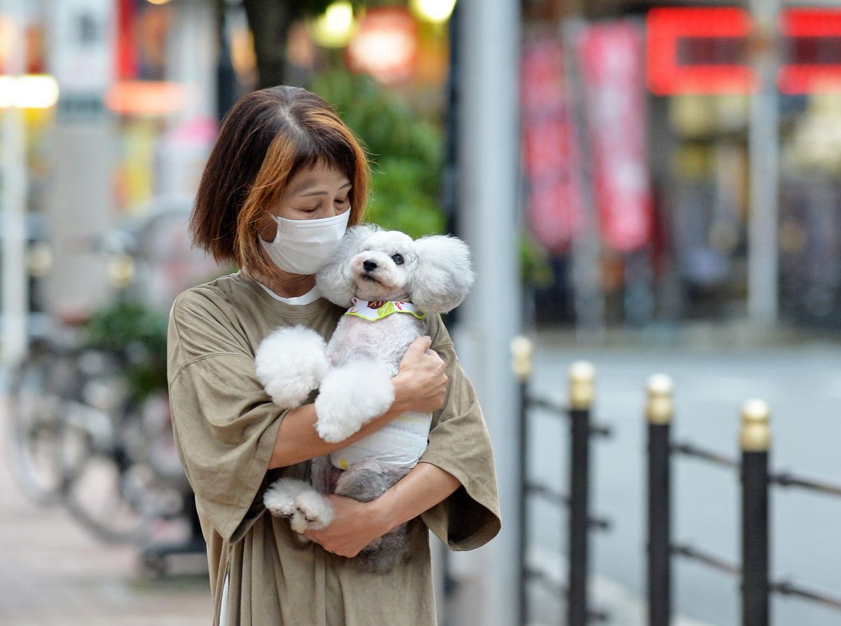 Shelter Dog Cafe Osaka Corona ni Makeruna (1)