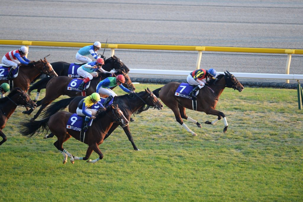 japan world cup 3 and animal internation race