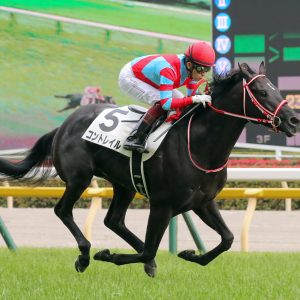 Horse Racing Japan Cup - Contrail