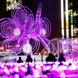 Sapporo Illumination Winter 2021 (3)