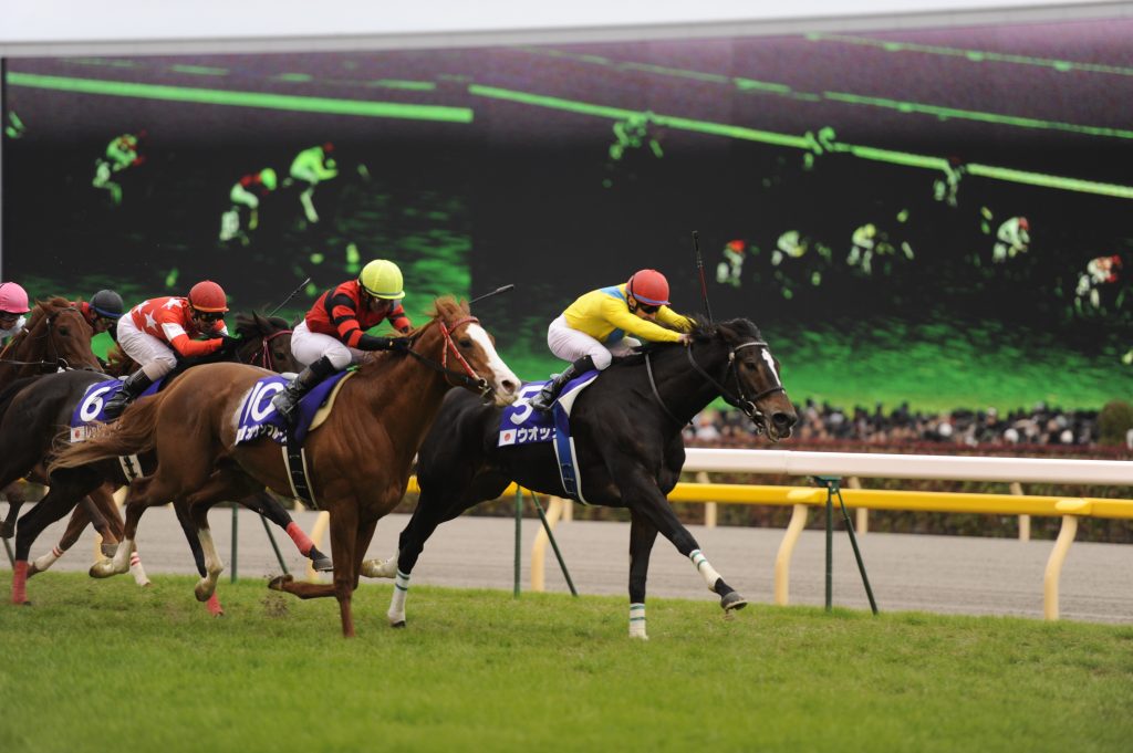 HORSE RACING | Japan Cup Showcases Nation's Racing Culture as the