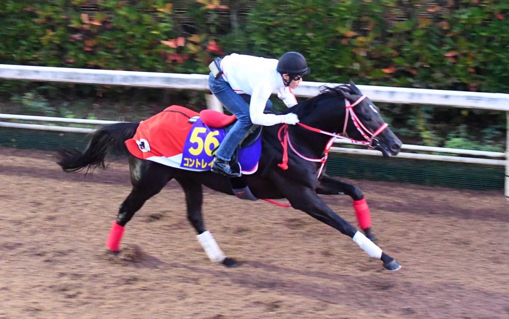 コントレイル 三冠馬 矢作厩舎 ブルゾン ジャパンカップ 新品 未発売 