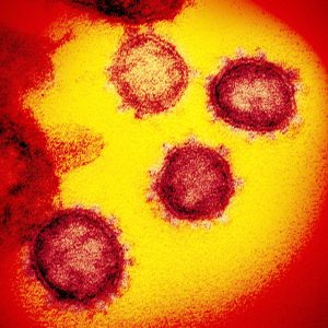 Coronavirus 001