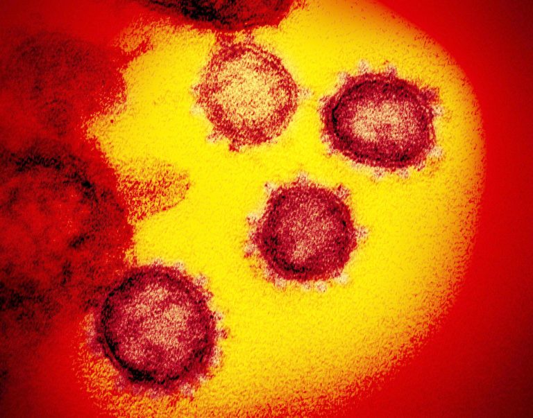 Coronavirus 001