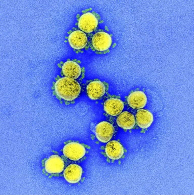 Coronavirus 002