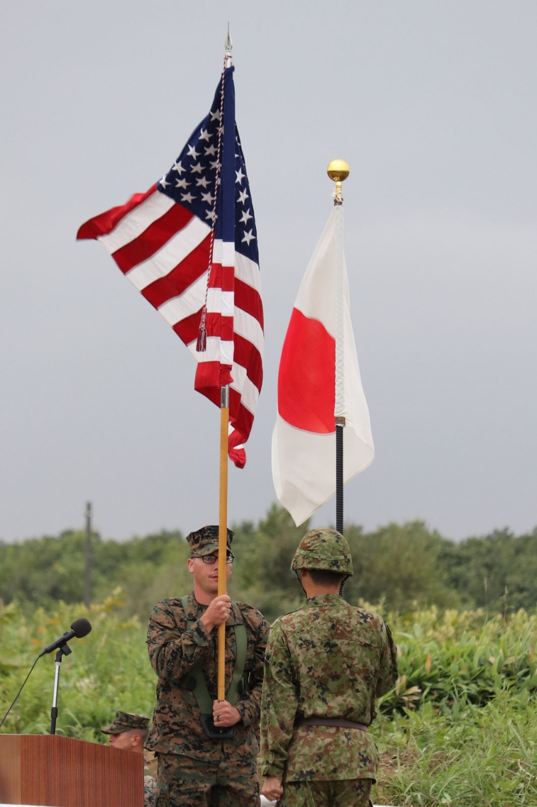 Japan US Alliance and Flag 001