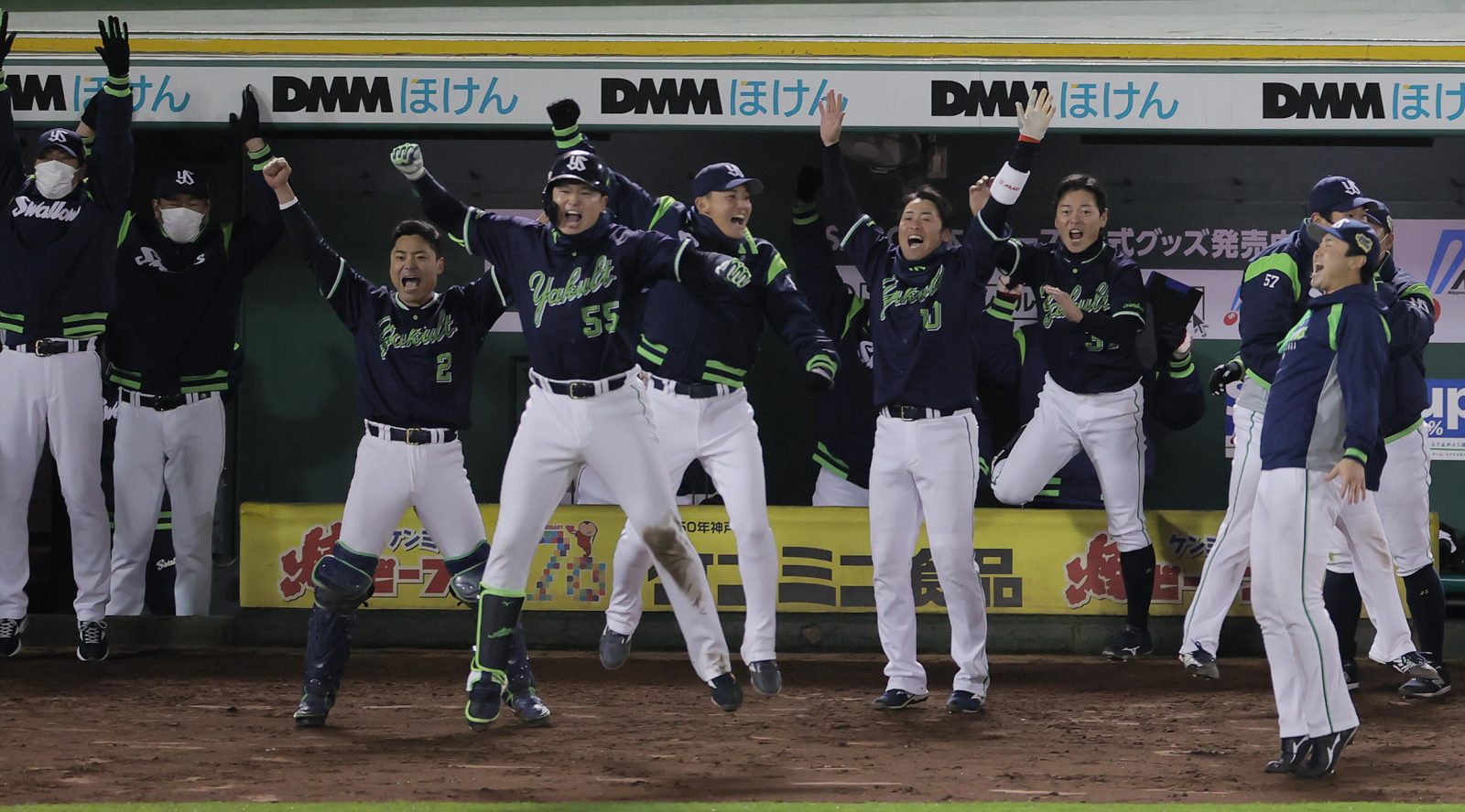 Yakult Swallows mascot, black bird, red and white