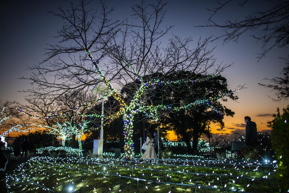 a-photographers-notes-lighting-up-the-holidays-in-enoshima-2