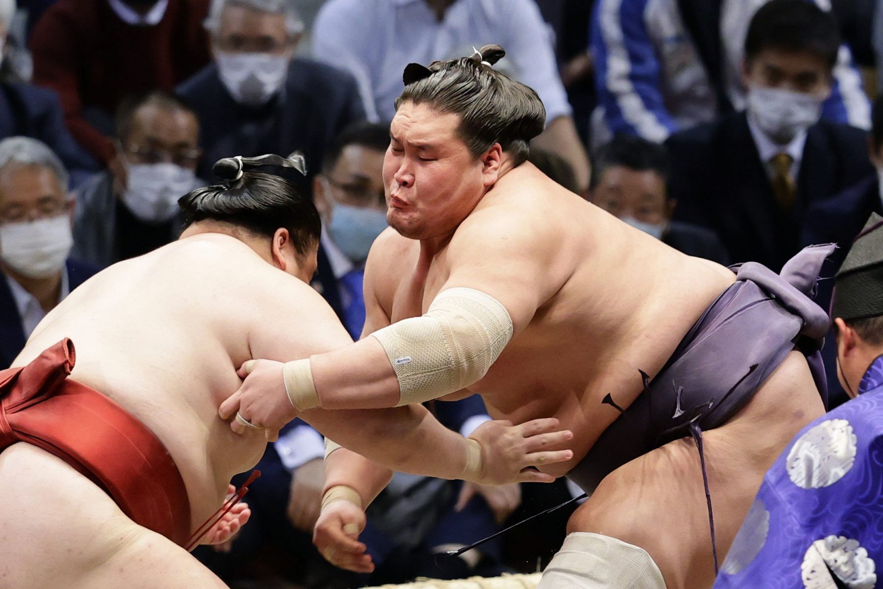 Does Hinomaru become Yokozuna? How does Hinomaru Sumo end?