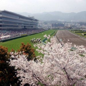 20020404 Horse Racing Hanshin Racecourse with SAKURA