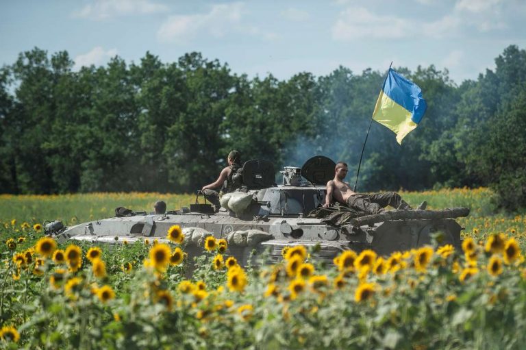 20140705 Ukraine Kryva Luka sunflower