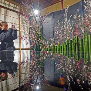 20220222 Arashiyama Yusaitei February