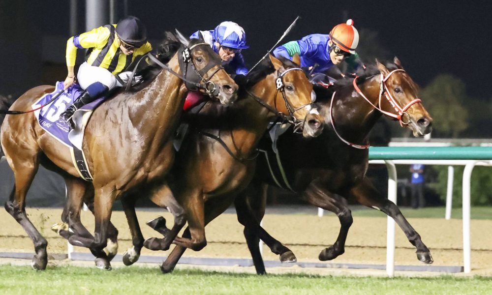 ドバイでの日本の競馬のためのスーパーサタデー